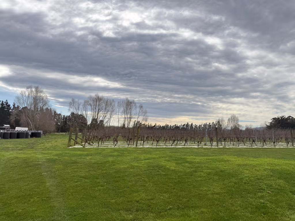 Christchurch Private Tour - waipara
