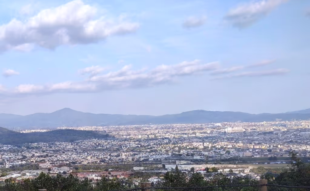 Kyoto Private Tour - Kyoto City from Okochi Villa