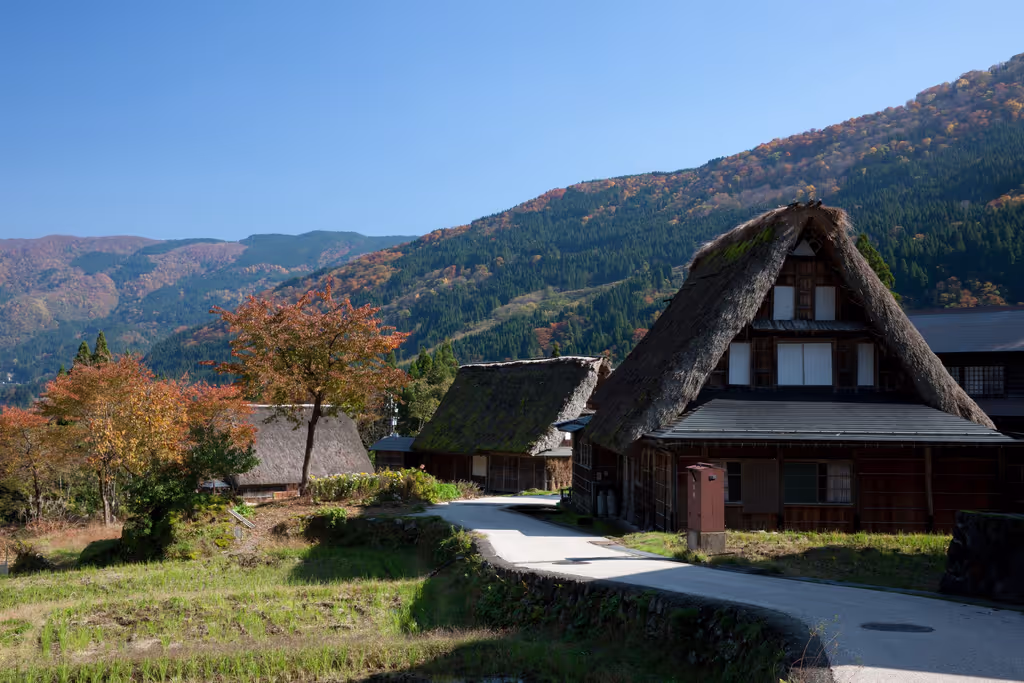 Toyama Private Tour - Thatched-roofed houses