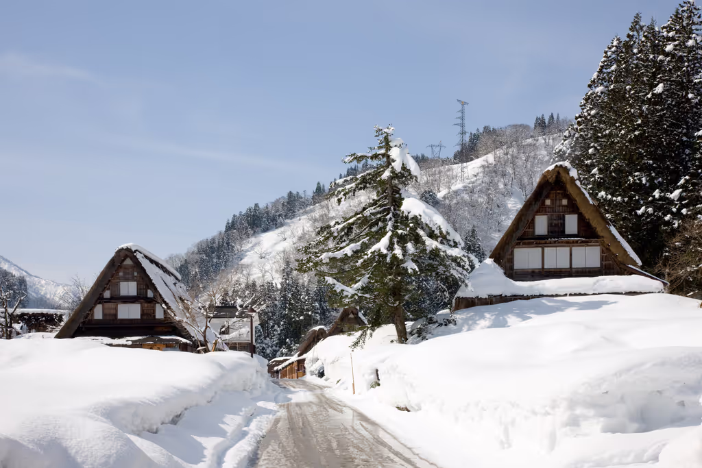 Toyama Private Tour - Snow-covered Ainokura