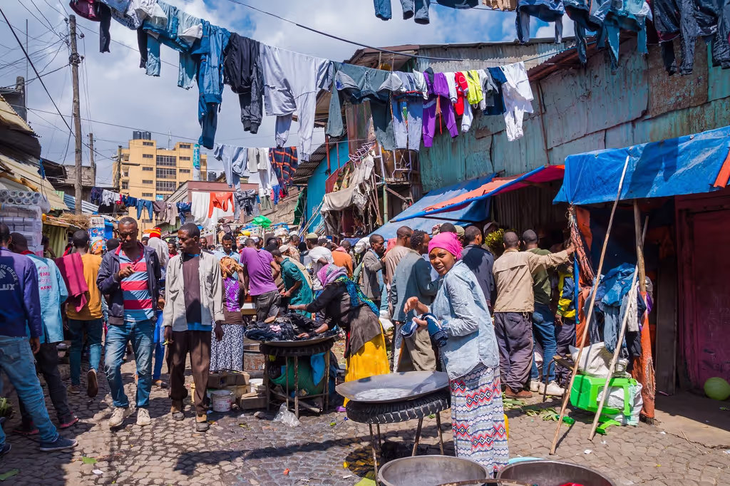 Addis Ababa Private Tour - 