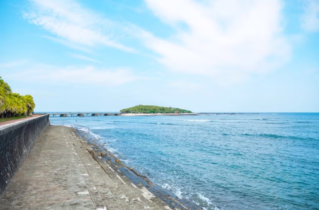 Miyazaki Private Tour - 