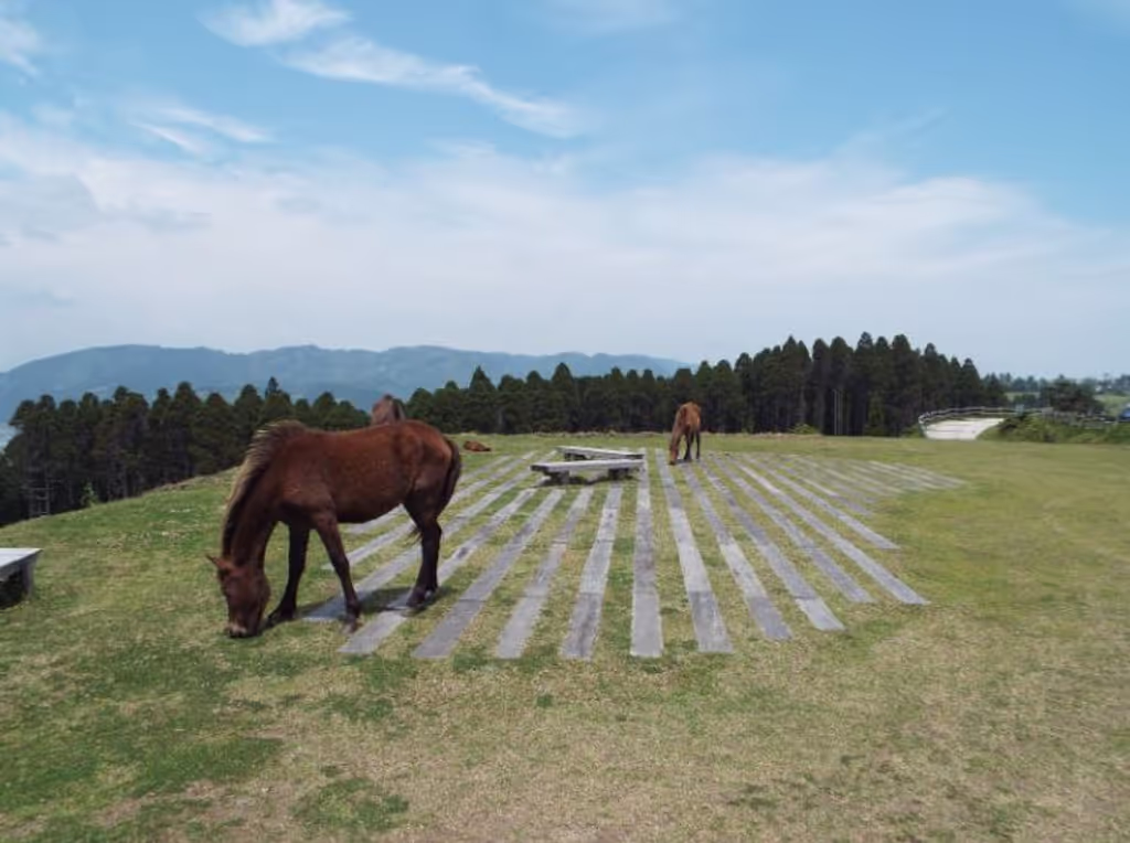 Miyazaki Private Tour - 