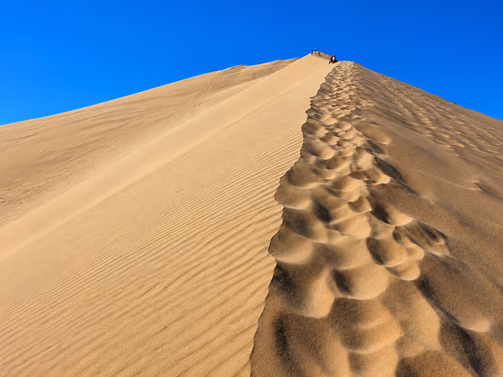 Doha Private Tour - Walk across untouched golden dunes and discover th
