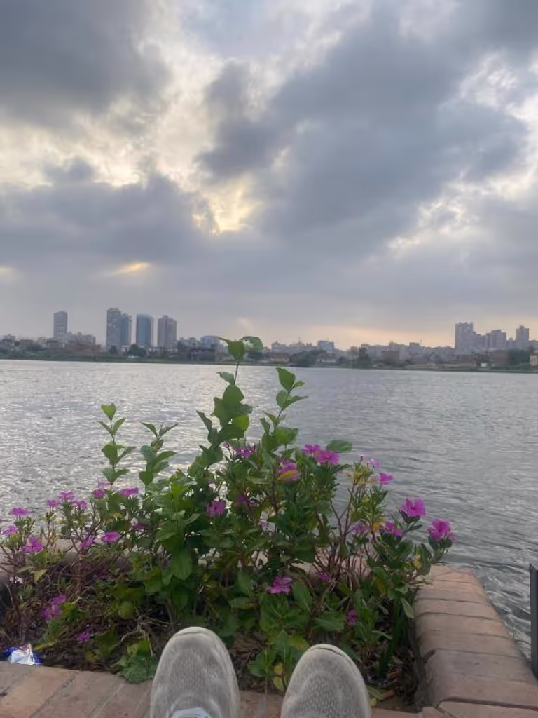 Giza Private Tour - 