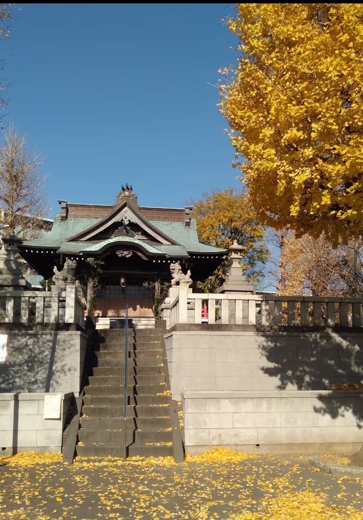 Kanagawa Private Tour - 