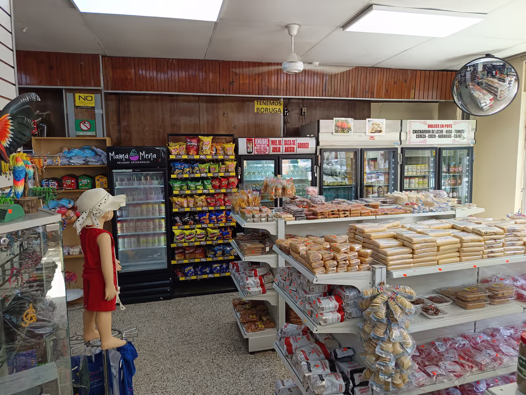 Distrito Nacional Private Tour - 