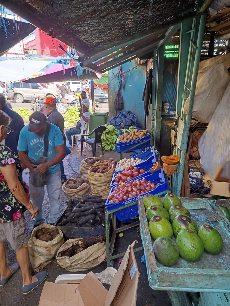 Distrito Nacional Private Tour - 