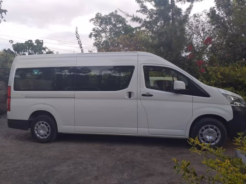 Addis Ababa Private Tour - High roof Mini Bus