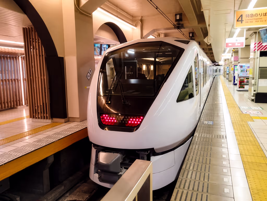 Tokyo Private Tour - Spacia X