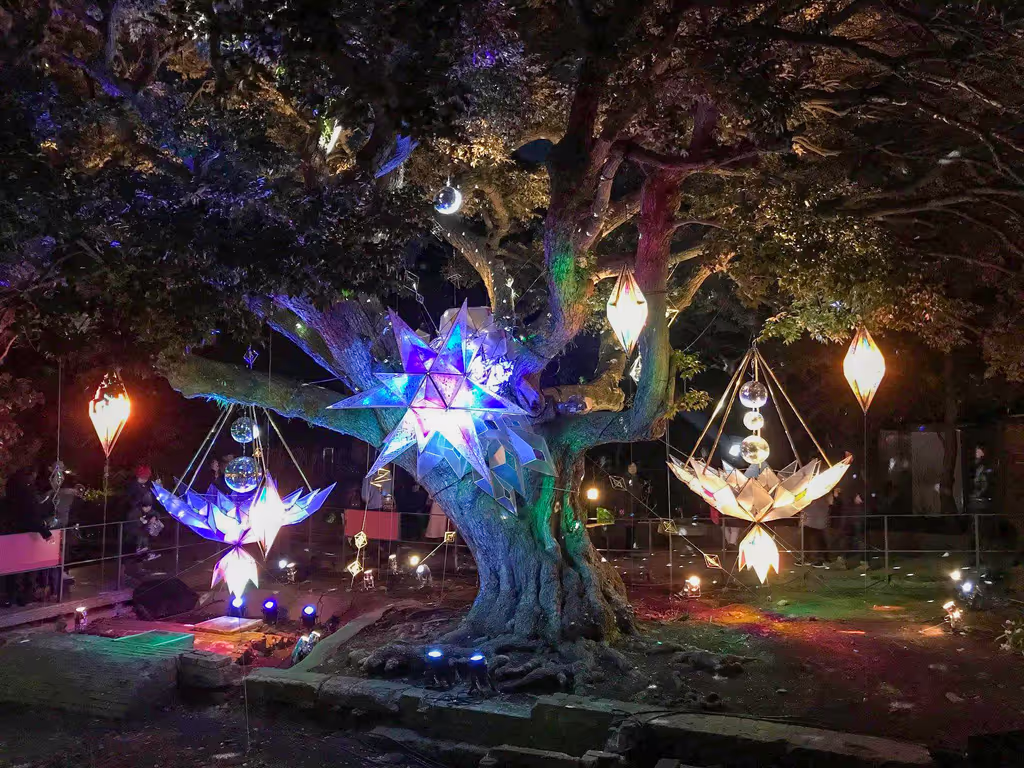 Kamakura Private Tour - Winter lighting up in Enoshima