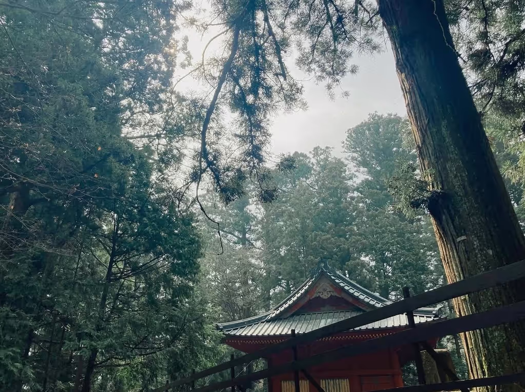 Nikko Private Tour - 