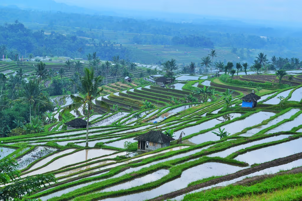 Bali Private Tour - 