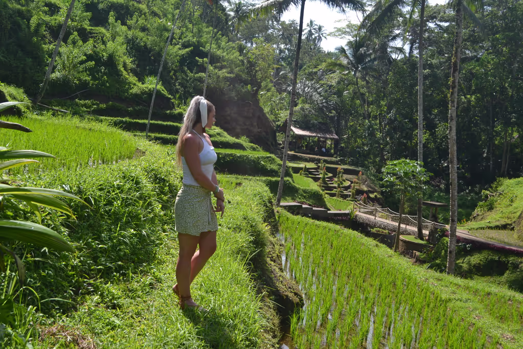 Bali Private Tour - 