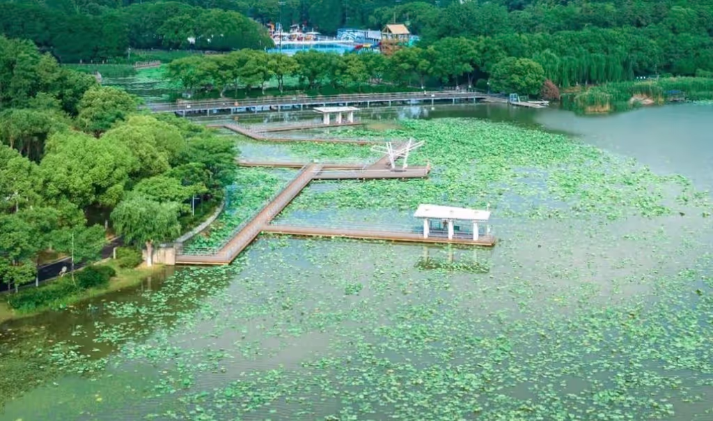 Wuhan Private Tour - Moon Lake