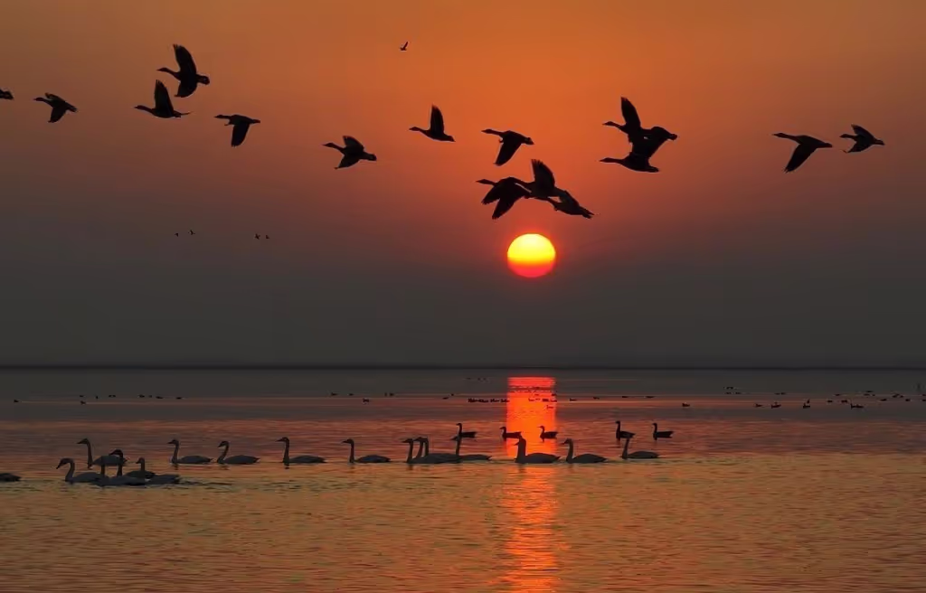 Wuhan Private Tour - Sunset view
