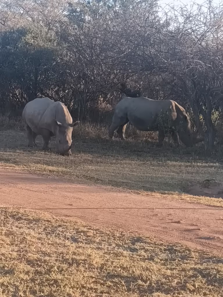 Johannesburg Private Tour - 
