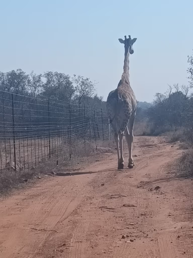 Johannesburg Private Tour - 