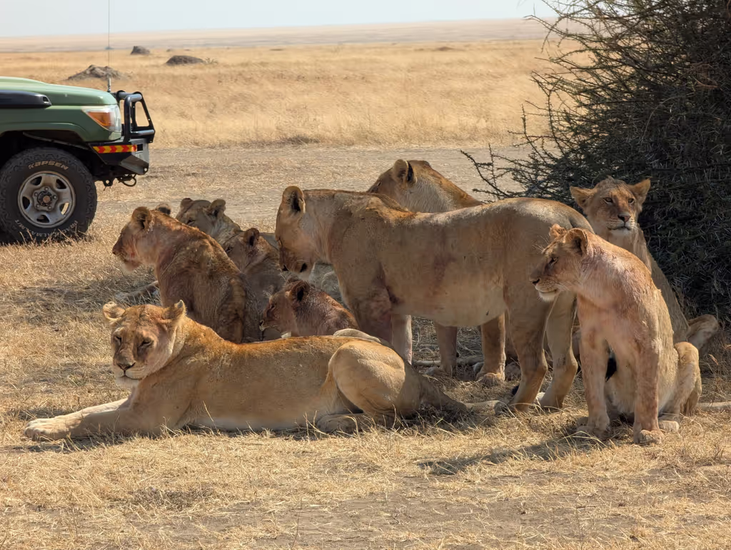 Arusha Private Tour - 