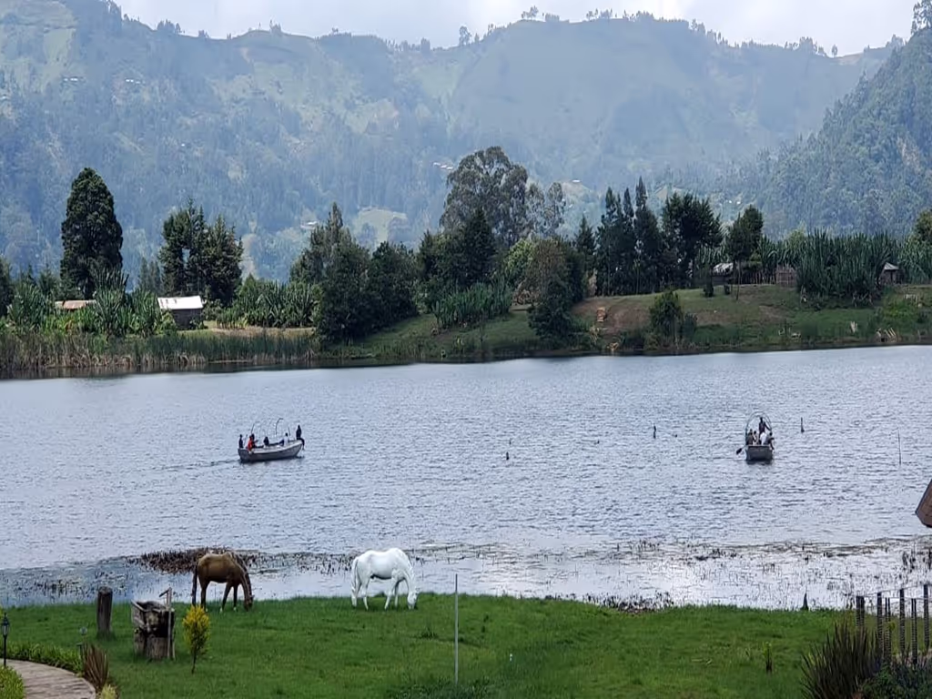 Addis Ababa Private Tour - 