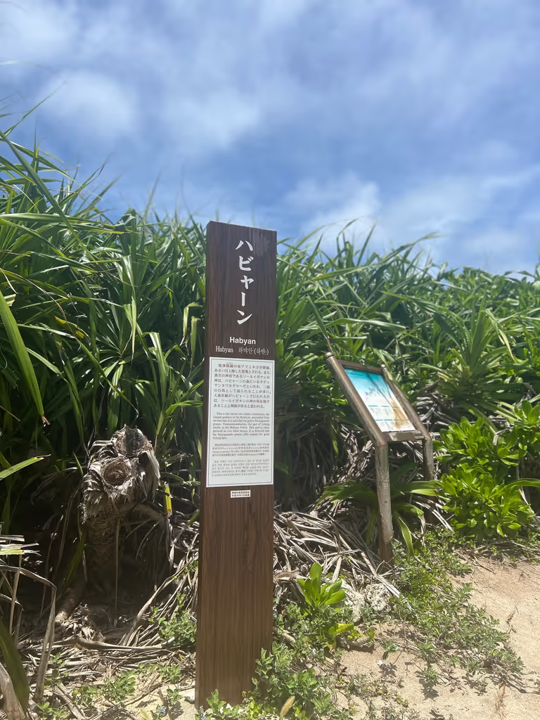 Okinawa Main Island Private Tour - 