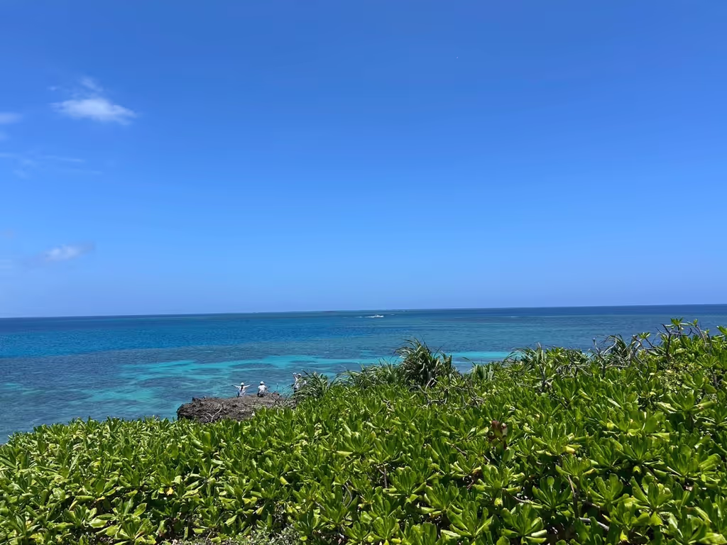 Okinawa Main Island Private Tour - 