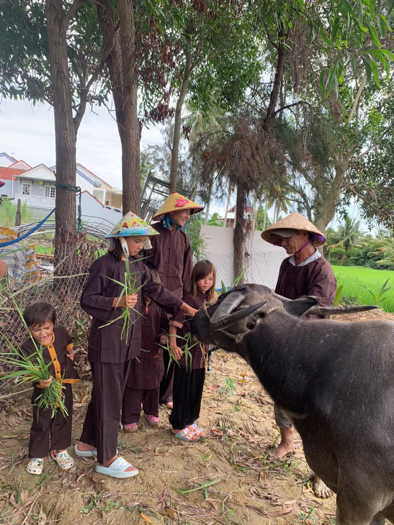 Hoi An Private Tour - 