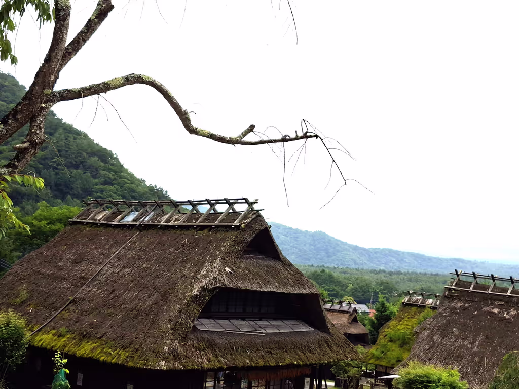Yamanashi Private Tour - Iyashi-no-Sato Nenba Village