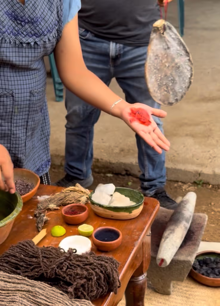Oaxaca Private Tour - 