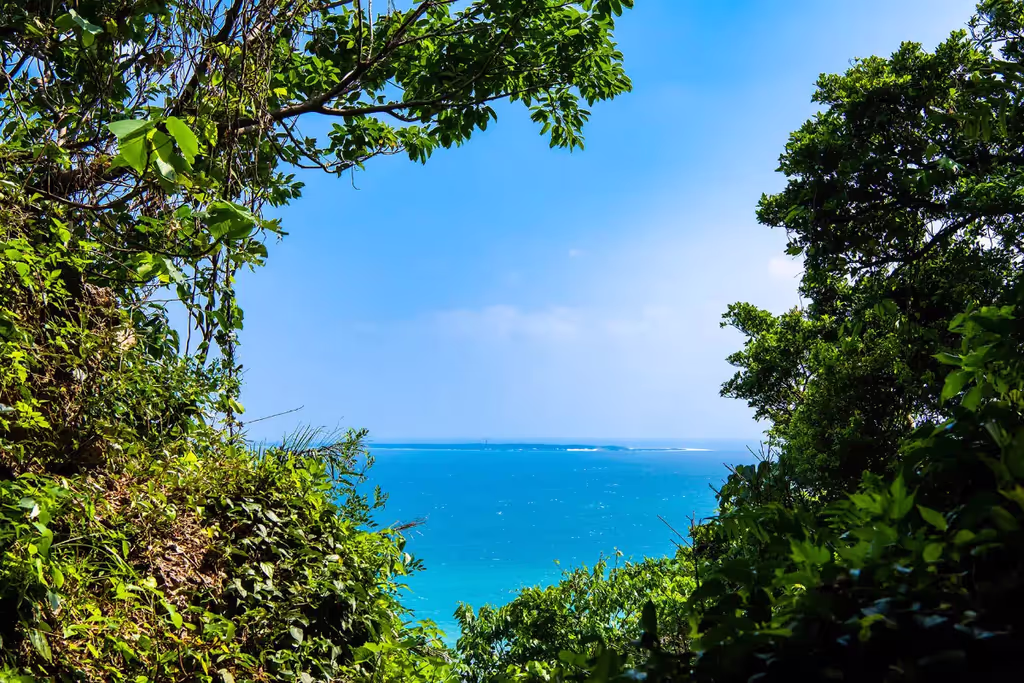 Okinawa Main Island Private Tour - 