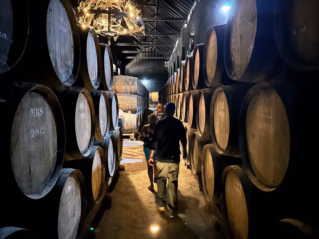 Setubal Private Tour - 