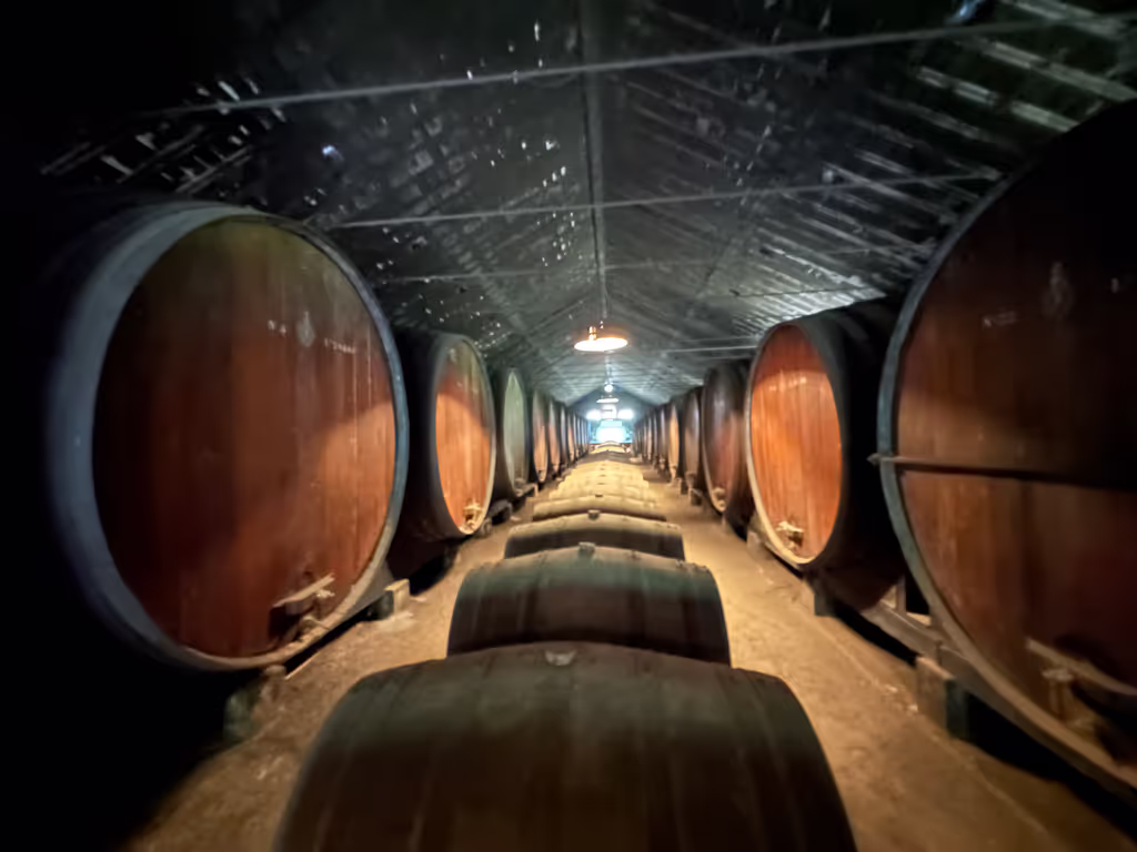 Setubal Private Tour - 