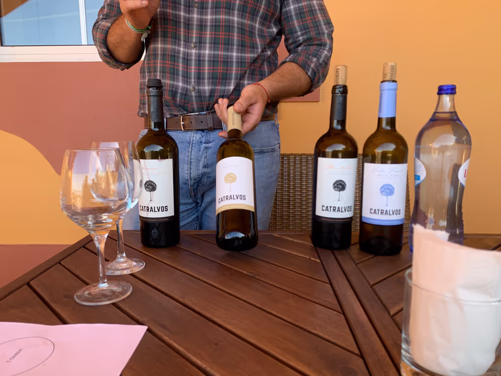 Setubal Private Tour - 