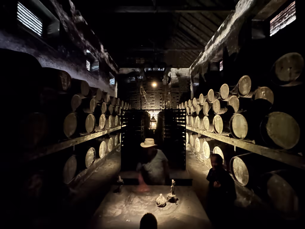 Setubal Private Tour - 