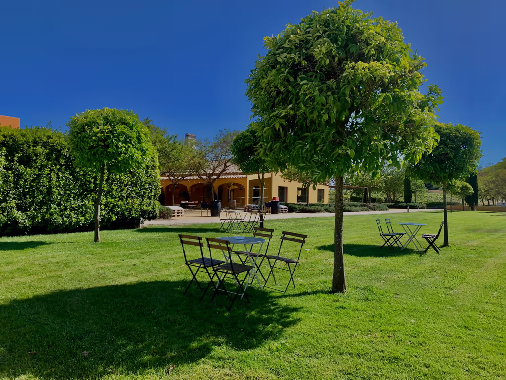Setubal Private Tour - 
