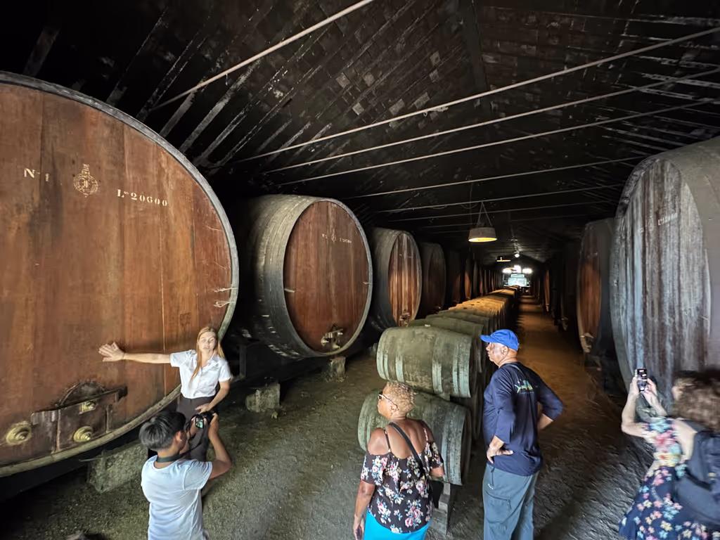 Setubal Private Tour - 