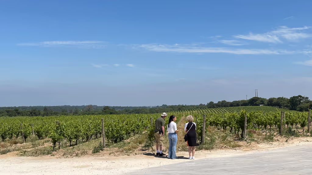 Setubal Private Tour - 