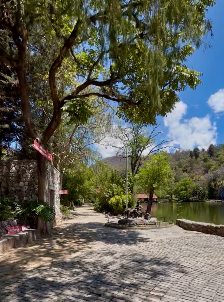 Oaxaca Private Tour - 
