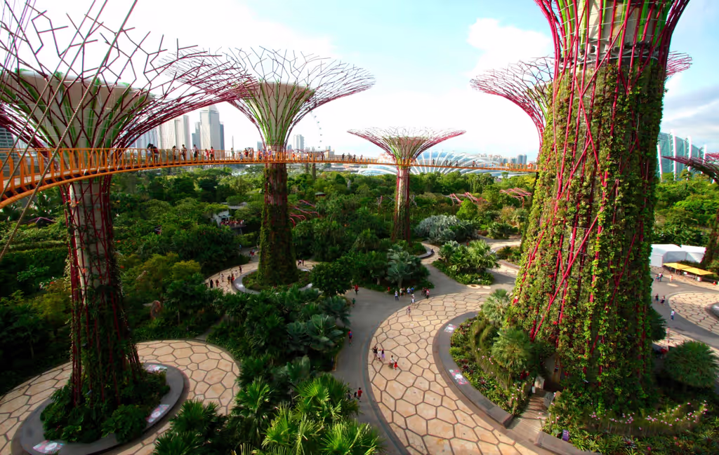 Singapore Private Tour - 