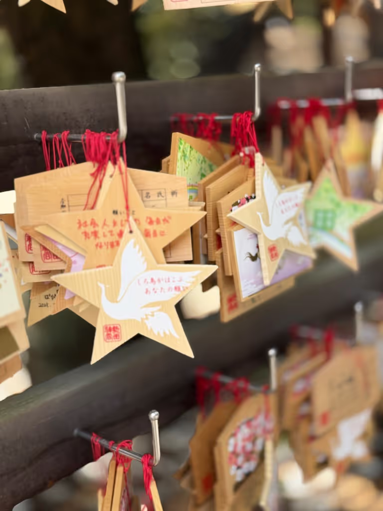Nagoya Private Tour - 