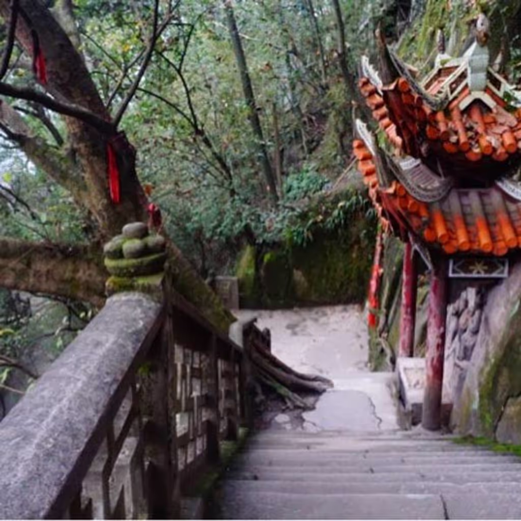 Chongqing Private Tour - temple in a forest