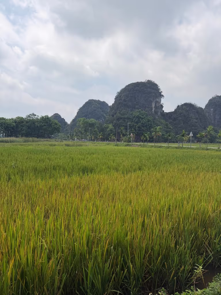 Hanoi Private Tour - 