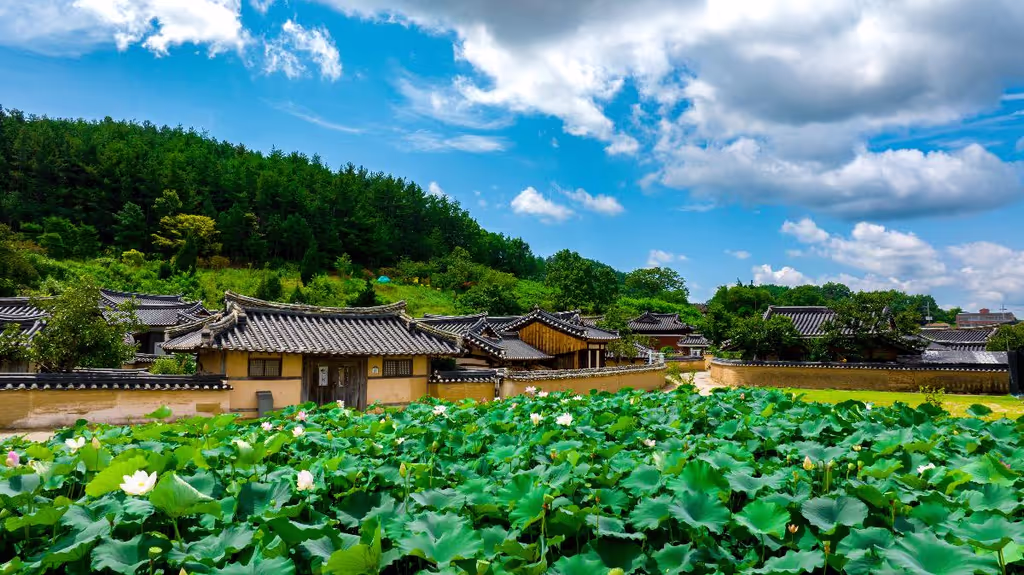 North Gyeongsang Private Tour - 