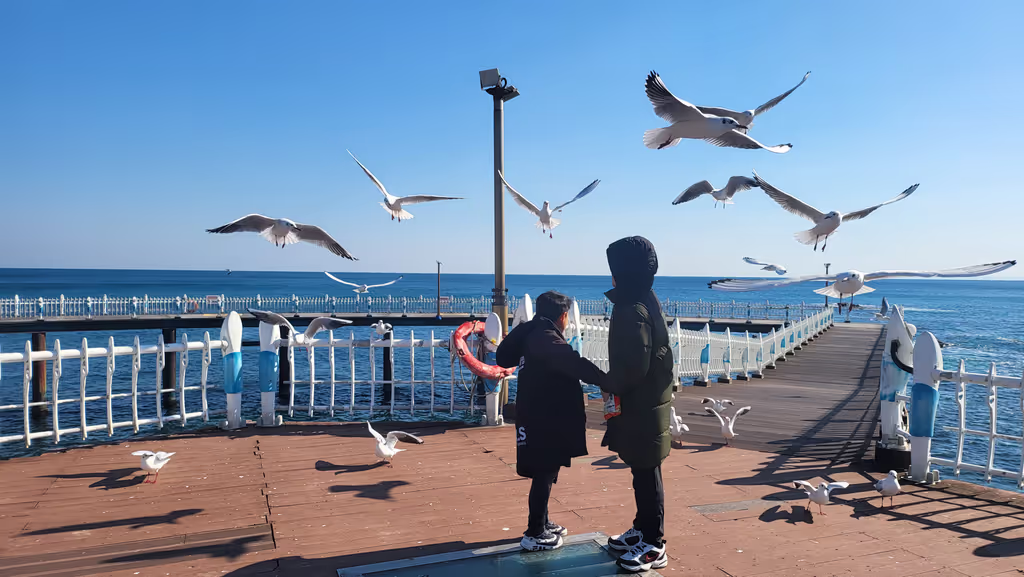 North Gyeongsang Private Tour - 