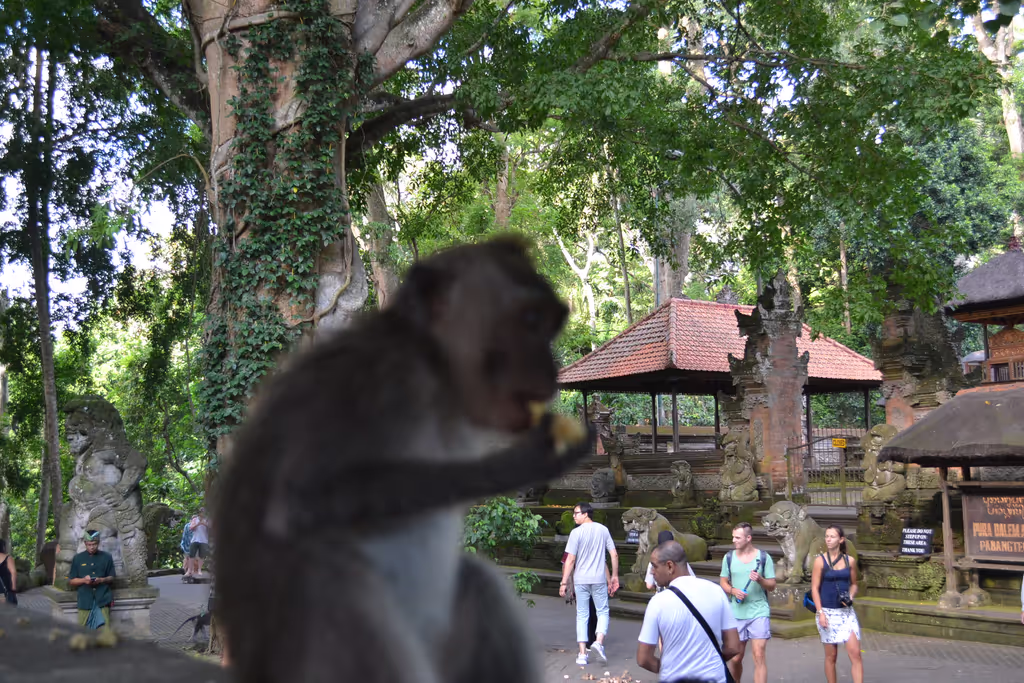Bali Private Tour - 