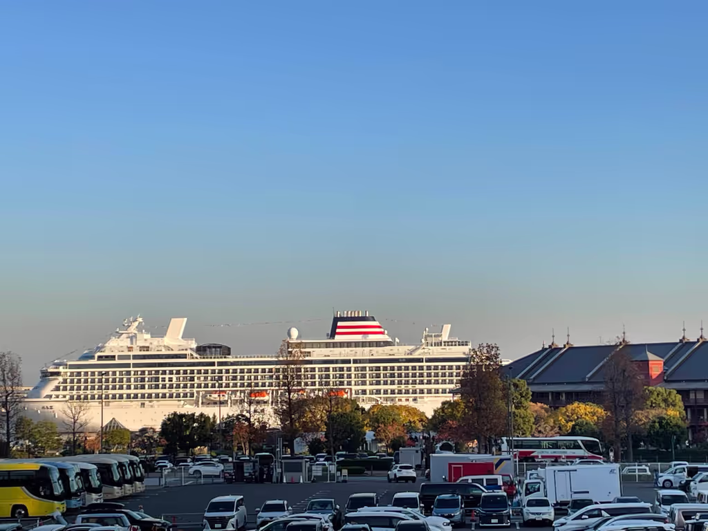 Kamakura Private Tour - You might spot a large cruise ship