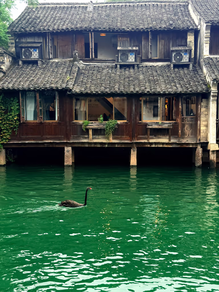 Hangzhou Private Tour - 