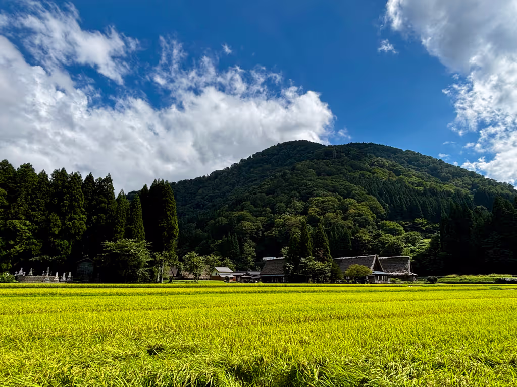 Takayama Private Tour - Suganuma Village