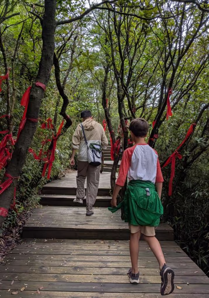 Chongqing Private Tour - 
