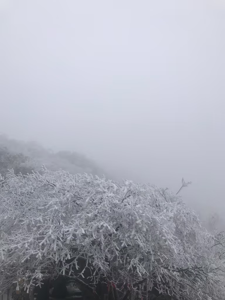Chongqing Private Tour - in winter